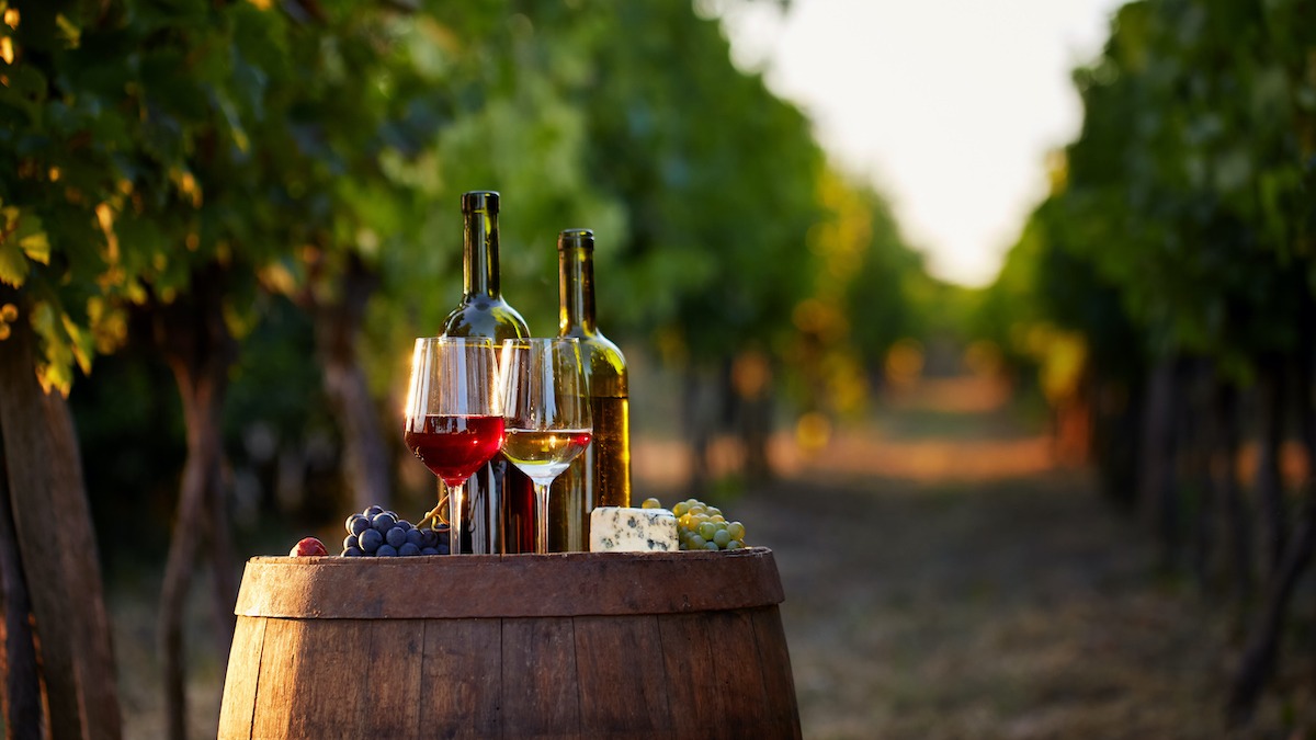 Định nghĩa Terroir